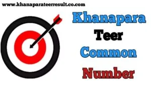 khanapara teer common number